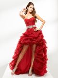 Prom Bridesmaid Dress (P1630)