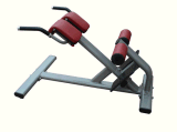 Fitness Equipment / Gym Equipment / Back Extension (SA48)