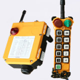 F24-10s Industrial Radio Remote Controls for Bridge Crane