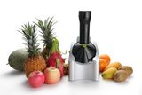 Fruit Ice Cream Maker