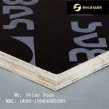 Black Film Faced Plywood, Shuttering Plywood