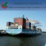 Efficient Shipping Agent From China to La Libertad Ec, Ecuador