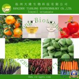 Highly Effective Herbicides Ioxynil Octanoate (95%TC, 24%EC)