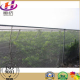HDPE Greenhouse Anti Insect Net with High Quality