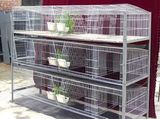 Rabbit Cage