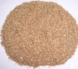 Dried Beer Meal