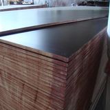 Cheap Price Brown Film Faced Plywood, Shuttering Plywood Used Outdoor