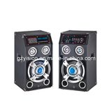 Stage Performance Speaker (227FM)