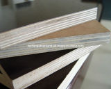 WBP Grade Tego Film Faced Plywood