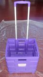 Folding Plastic Cart