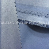 Polyester Taslon Coated Fabric (DT2080)