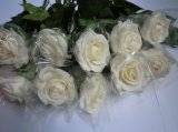 Artificial White Rose Flower, Real Touch Silk Rose (SH01021)