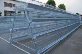 Chicken Cage for Sale /Battery Cages Laying Hens/Poultry Farming Equipment