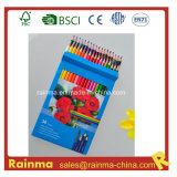 Wooden Color Pencil for School Stationery