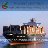 Container Shipping Service From China to Port of Spain