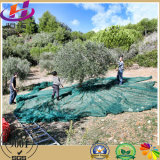 Top Quality Olive Nets/Harvest Nets for Fruits