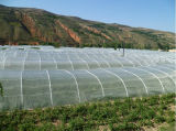 Meyabond Agricultural Anti Knitted Insect Netting