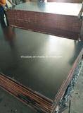 21*1250*2500 Black Film Faced Plywood