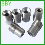 CNC Machining Non-Standard Screw Parts for Automatic (P033)