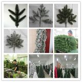 Shaanxi Longstar New Material Technology Co., Ltd.