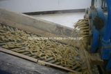 20td Rice Bran Oil Machinery