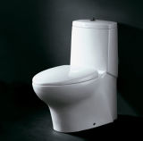 Flush Toilet (Z2060401)
