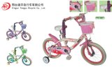 Dolphin Kids Bicycle (TY-021)