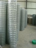 Welded Wire Mesh