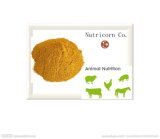 Corn Gluten Meal as High Quality Feed Additive