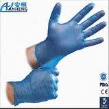 Powder-Free Vinyl Exam Gloves - Large - Case of 1000