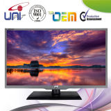 2015 Uni Multipurpuse HD 21.5'' E-LED TV