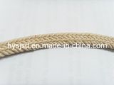 Hot Sale Cotton Braided Webbing Rope