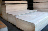 8mm Plb Face Poplar Core Plywood for Thailand Market