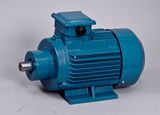 High Efficiency Tefc Three-Phase Grinding Motor