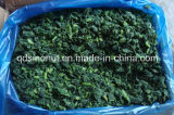 Grade a Factory Price IQF Spinach Chopped