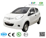 High Speed Electric Car Used Lead-Acid Battery