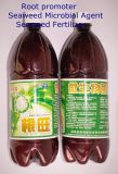 Seaweed Bacterial Manure--- Fertilizer for Root Promoter