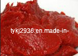 Canned Tomato Paste Factory 4500g