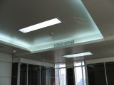 Aluminum Ceiling Panel Design