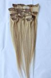Best Clip Hair Extensions for Fine Hair (BAHE-14