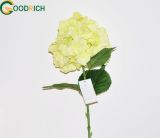 High Quality Sing Stem Hydrangea Flower