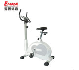 Indoor Use Fitness Magnetic Bike (M8004)