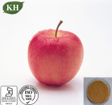 High Nutritious Apple Extract Polyphenol 50%, 70%, 75%, 80%