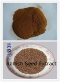Semen Raphani P. E, Raphanus Sativus L. P. E., Turnip Seed Extrac