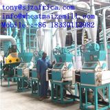 Maize Milling Plant, Flour Milling Machine 30 Tons/Day Running Kenya