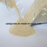 Thickener Sodium Alginate Gum for Textile Industry