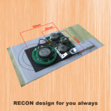Custom Sound Chip for Greeting Cards