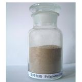 Polyporus Umbellatus Powder, Edible and Medicine Fungi, GMP and HACCP Certificate