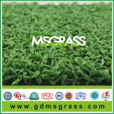 Sport Fake Grass for Tennis (JSQW-B15H23EM)