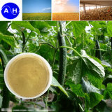 Foliage Fertilizer (Trace Elements Amino Acid Chelate Powder)